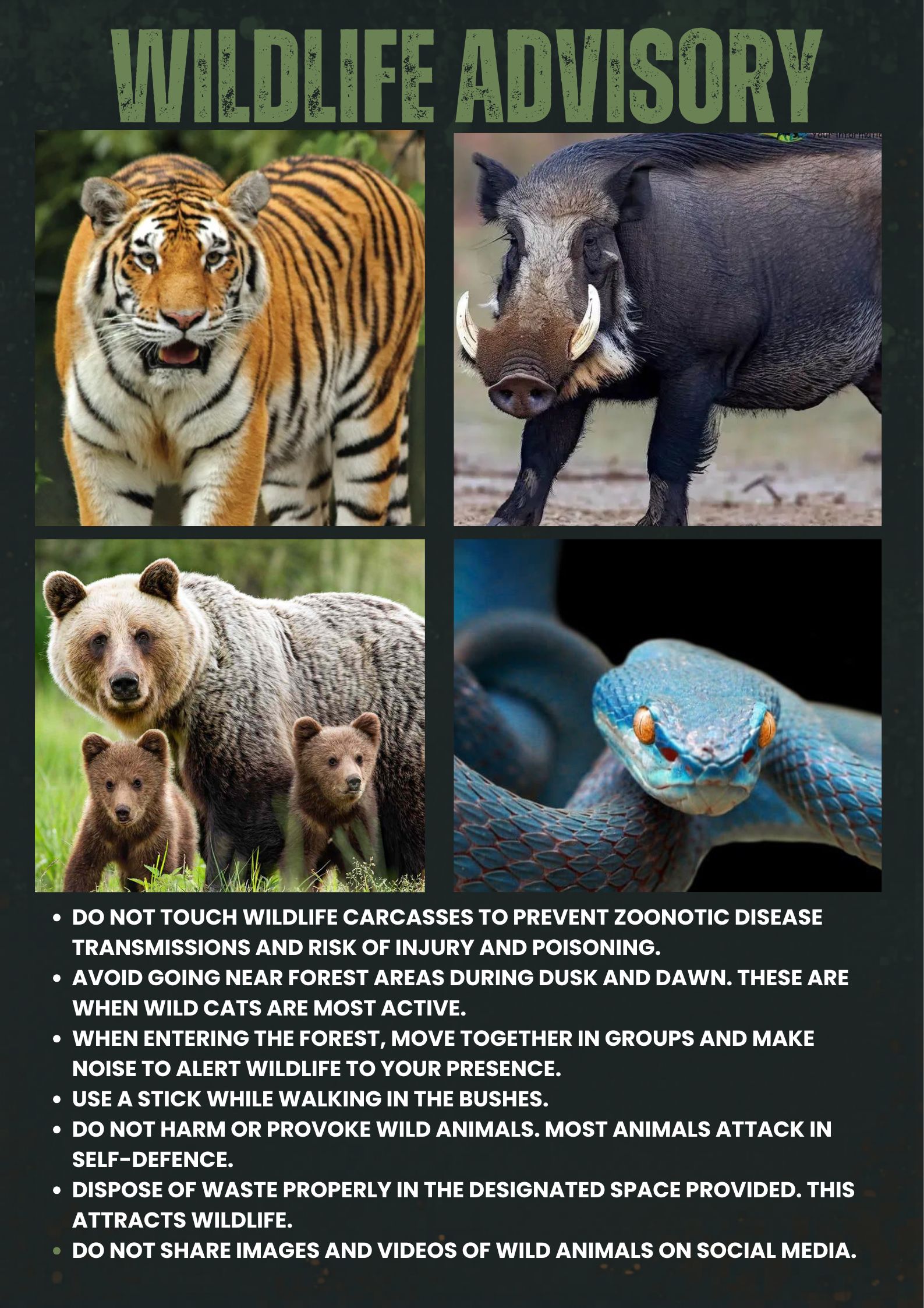 Nature-Inspired_Wildlife_Advisory_Poster_3.jpg